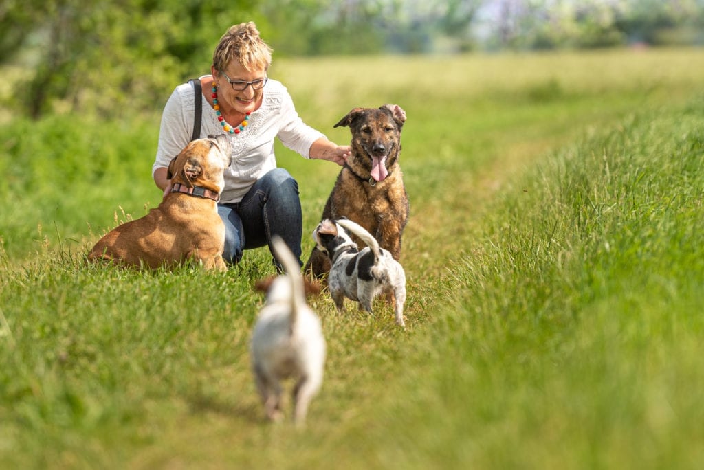 The Health Benefits of Dog Walking - Digs for Dogs